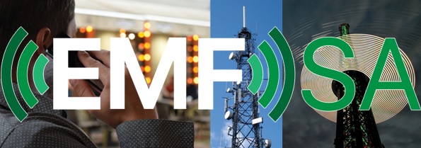 Electromagnetic Fields South Africa (EMFSA) logo in white and green letters on a background depicting telecommunication systems