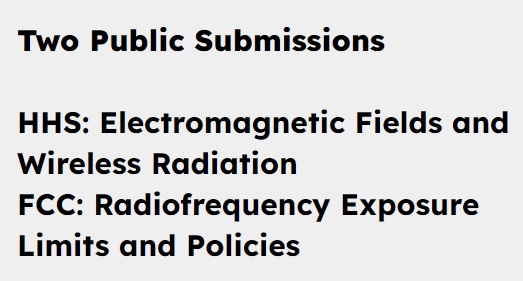 Two public submissions to HHS on electromagnetic fields and wireless radiation, and to the FCC on radiofrequency exposure limits and policies.